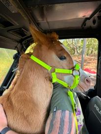 No Caption